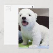 polarbearかわいいベビー ポストカード (正面/裏面)