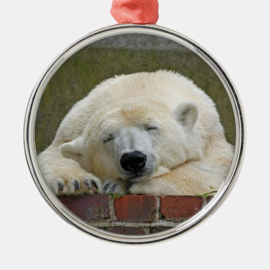 PolarBear20150501 メタルオーナメント (正面)