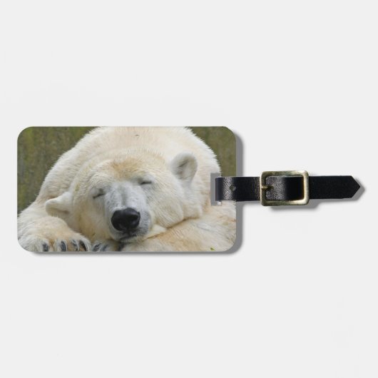 PolarBear20150501 ラゲッジタグ (正面横)