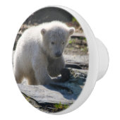 PolarBear_20190302_by_JAMFoto セラミックノブ (右)