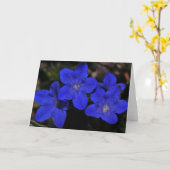 Polemoniumの挨拶状 カード (黄色い花)