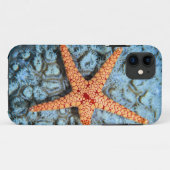 Polipsの珊瑚のヒトデ Case-Mate iPhoneケース (裏面(横))