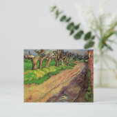 Pollard Willows by Vincent vanゴッホ ポストカード (スタンド正面)