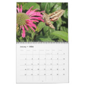 Pollinator Calendar 2026 カレンダー (1月 2026)