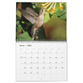 Pollinator Calendar 2026 カレンダー (3月 2026)