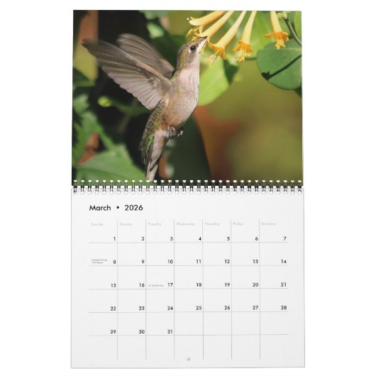 Pollinator Calendar 2026 カレンダー (3月 2026)