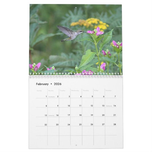 Pollinators カレンダー (2月 2026)