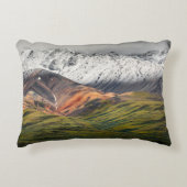 Polychrome mountain, Denali NP, Alaska アクセントクッション (正面)