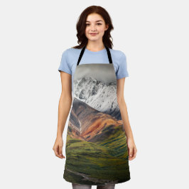 Polychrome mountain, Denali NP, Alaska エプロン