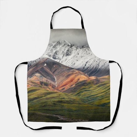 Polychrome mountain, Denali NP, Alaska エプロン (正面)