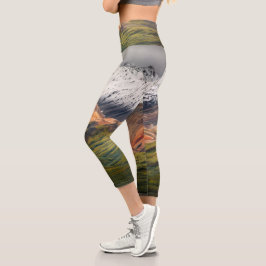 Polychrome mountain, Denali NP, Alaska カプリレギンス