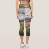 Polychrome mountain, Denali NP, Alaska カプリレギンス (裏面)