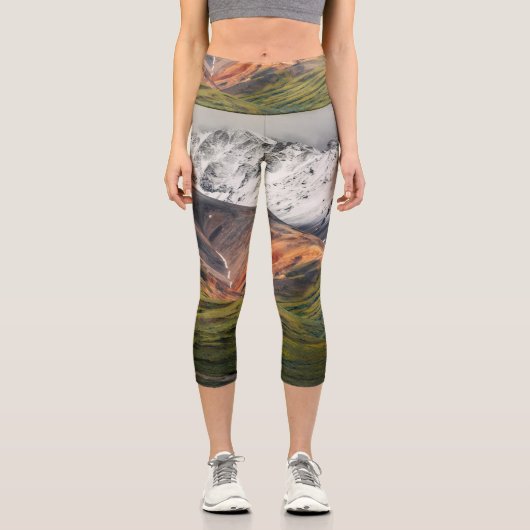 Polychrome mountain, Denali NP, Alaska カプリレギンス (正面)