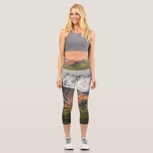 Polychrome mountain, Denali NP, Alaska カプリレギンス (正面)