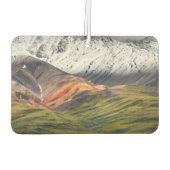 Polychrome mountain, Denali NP, Alaska カーエアーフレッシュナー (裏面)