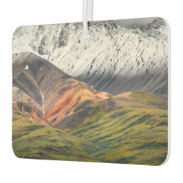 Polychrome mountain, Denali NP, Alaska カーエアーフレッシュナー