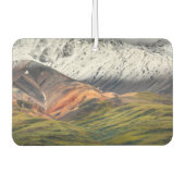 Polychrome mountain, Denali NP, Alaska カーエアーフレッシュナー (正面)