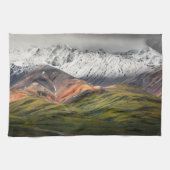 Polychrome mountain, Denali NP, Alaska キッチンタオル (横)