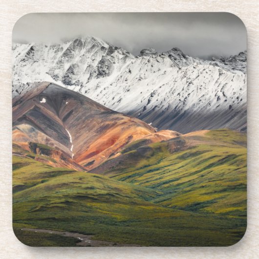 Polychrome mountain, Denali NP, Alaska コースター (正面)