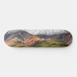 Polychrome mountain, Denali NP, Alaska スケートボード