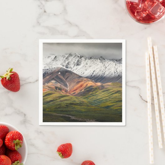 Polychrome mountain, Denali NP, Alaska スタンダードカクテルナプキン (インサイチュ)