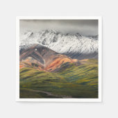 Polychrome mountain, Denali NP, Alaska スタンダードカクテルナプキン (正面)