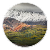 Polychrome mountain, Denali NP, Alaska セラミックノブ (正面)