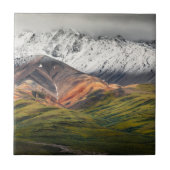 Polychrome mountain, Denali NP, Alaska タイル (正面)