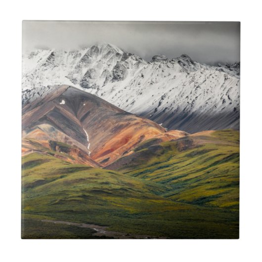 Polychrome mountain, Denali NP, Alaska タイル (正面)