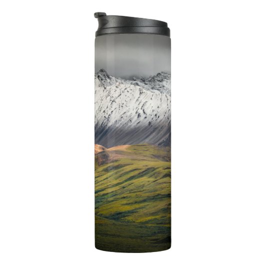 Polychrome mountain, Denali NP, Alaska タンブラー (回転右)