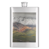 Polychrome mountain, Denali NP, Alaska フラスク (正面)