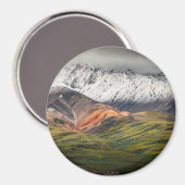 Polychrome mountain, Denali NP, Alaska マグネット (正面/裏面)