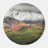 Polychrome mountain, Denali NP, Alaska マグネット (正面)