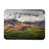 Polychrome mountain, Denali NP, Alaska マグネット (横)