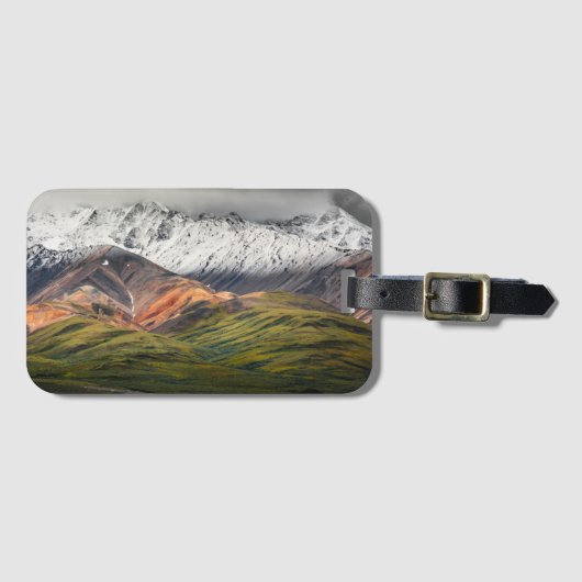 Polychrome mountain, Denali NP, Alaska ラゲッジタグ (正面横)