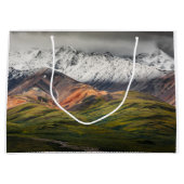 Polychrome mountain, Denali NP, Alaska ラージペーパーバッグ (正面)