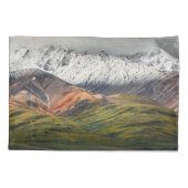 Polychrome mountain, Denali NP, Alaska 枕カバー (裏面)