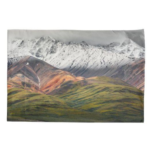 Polychrome mountain, Denali NP, Alaska 枕カバー (裏面)