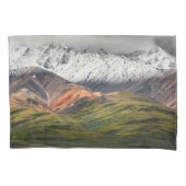 Polychrome mountain, Denali NP, Alaska 枕カバー (正面)
