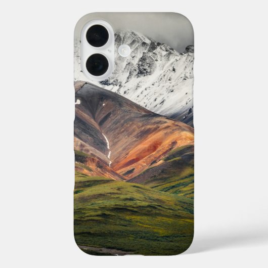 Polychrome mountain, Denali NP, Alaska Case-Mate iPhoneケース (裏面)
