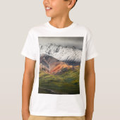 Polychrome mountain, Denali NP, Alaska Tシャツ (正面)