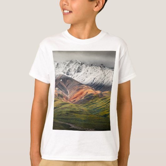 Polychrome mountain, Denali NP, Alaska Tシャツ (正面)