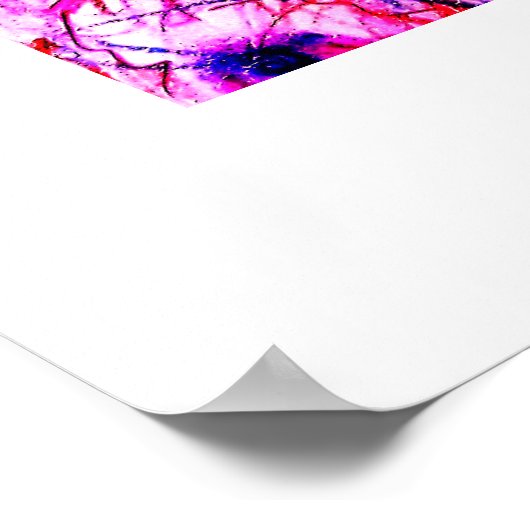 Polycromatic  ポスター (角)