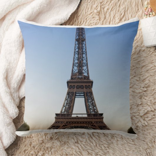 Polyester  クッション (ブランケット)