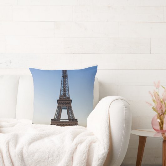 Polyester  クッション (ソファ)