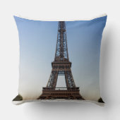 Polyester  クッション (正面)