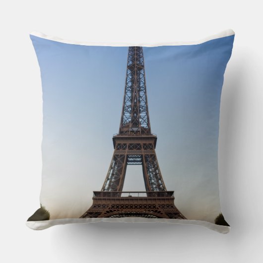 Polyester  クッション (正面)