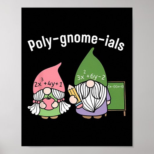 Polygnomeials数学先生 ポスター (正面)