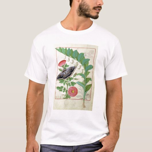 Polygonatumは上がり、 Tシャツ (正面)