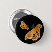 Polyphemusガ 缶バッジ (正面&裏面)